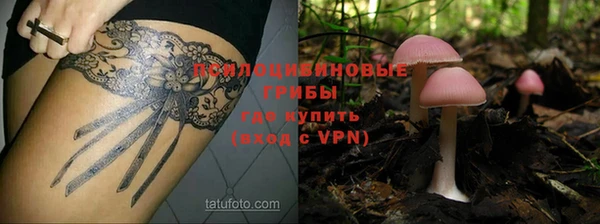 прущая мука Армянск