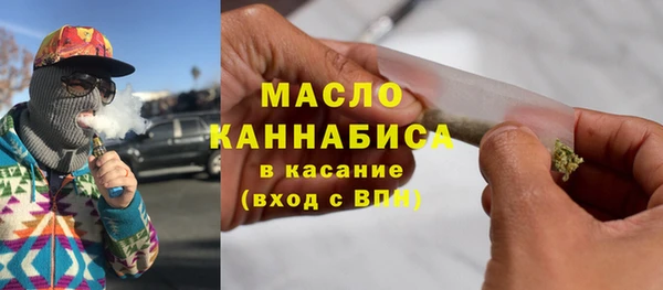 хмурый Арсеньев