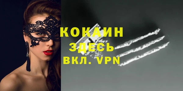 хмурый Арсеньев