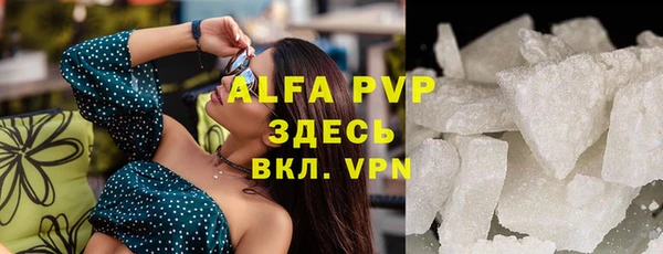 хмурый Арсеньев