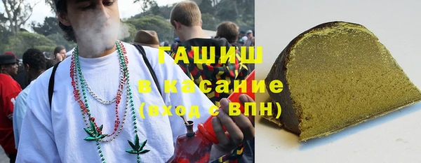 хмурый Арсеньев