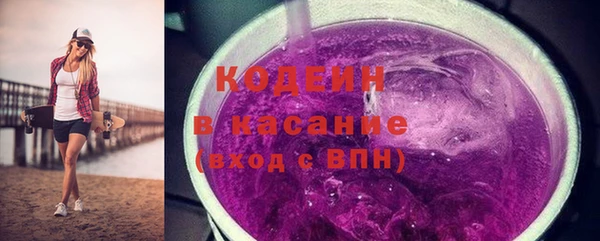 хмурый Арсеньев