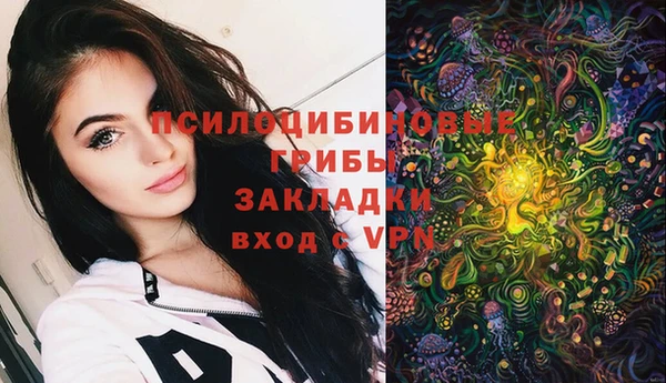 хмурый Арсеньев