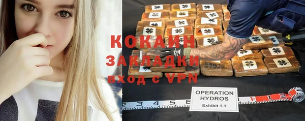 хмурый Арсеньев
