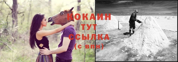 хмурый Арсеньев